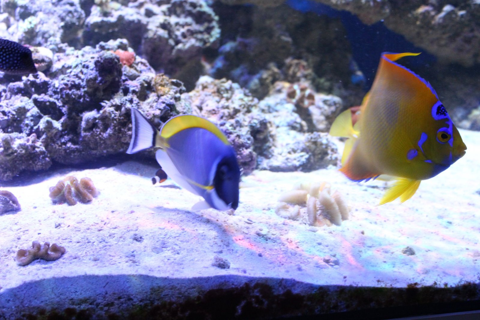 resized_IMG_4805.