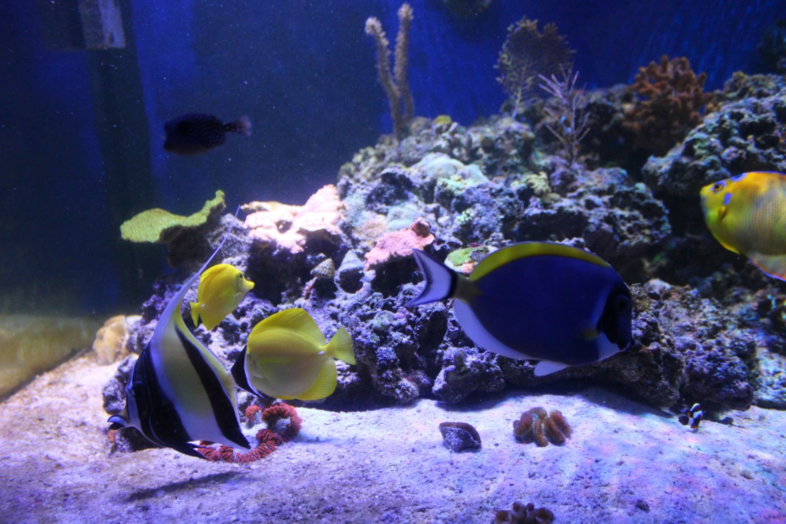 resized_IMG_4820.