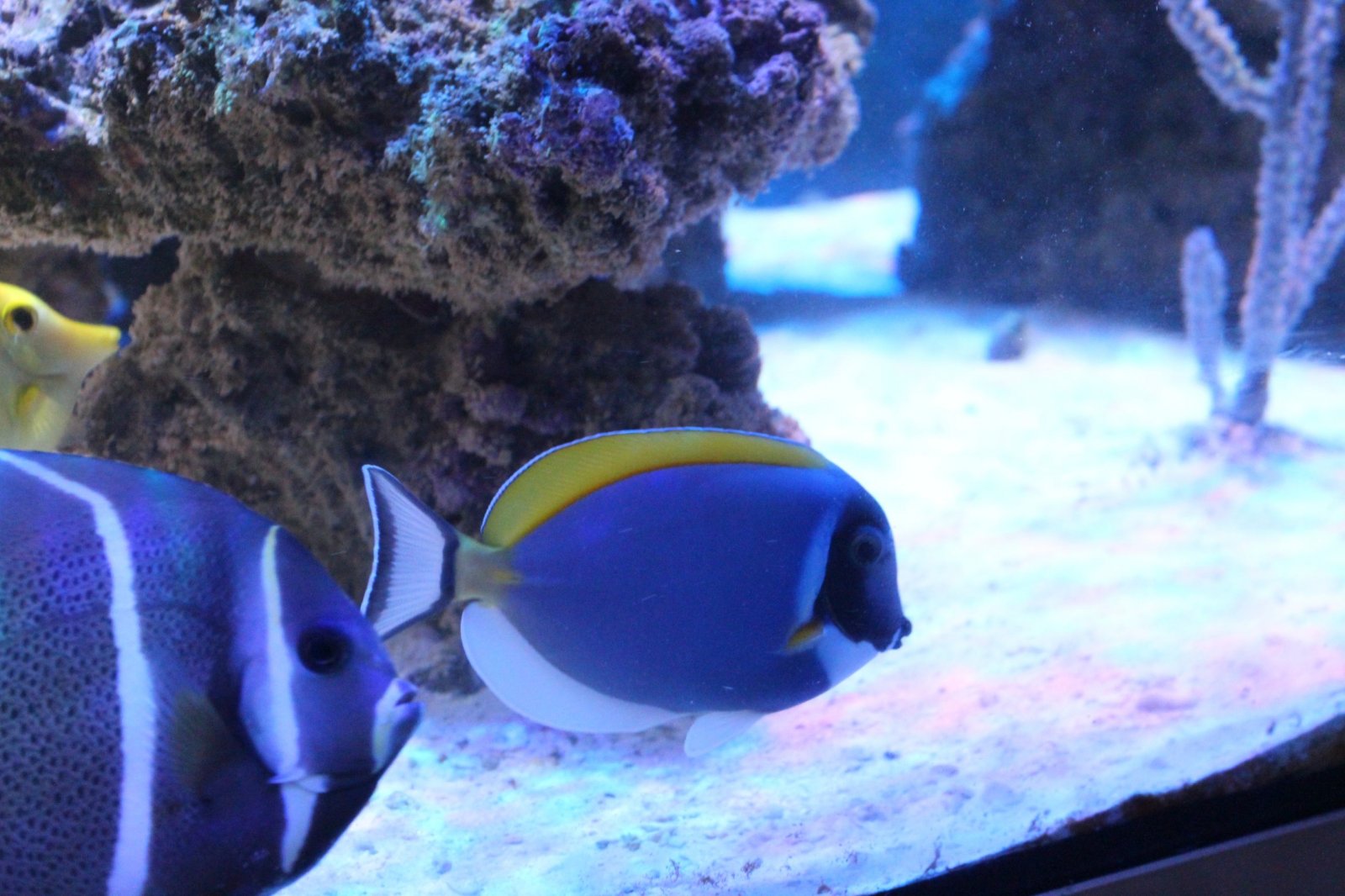 resized_IMG_4824.