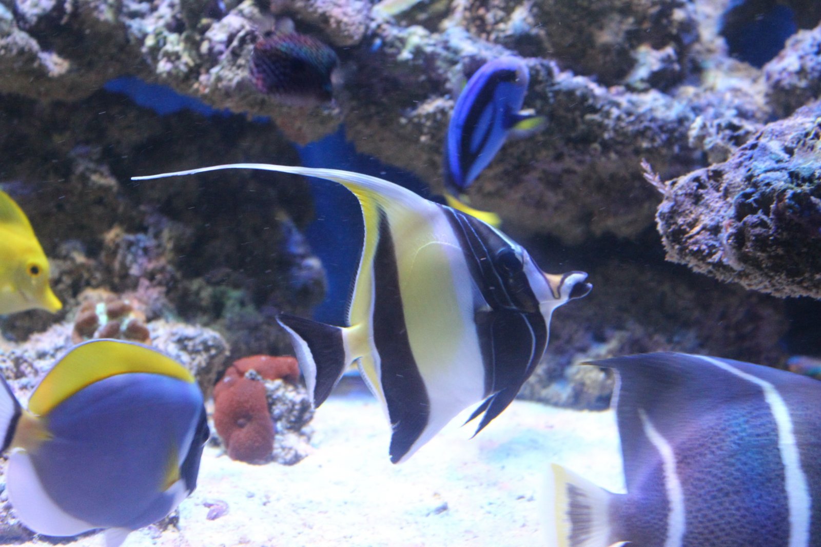 resized_IMG_4829.