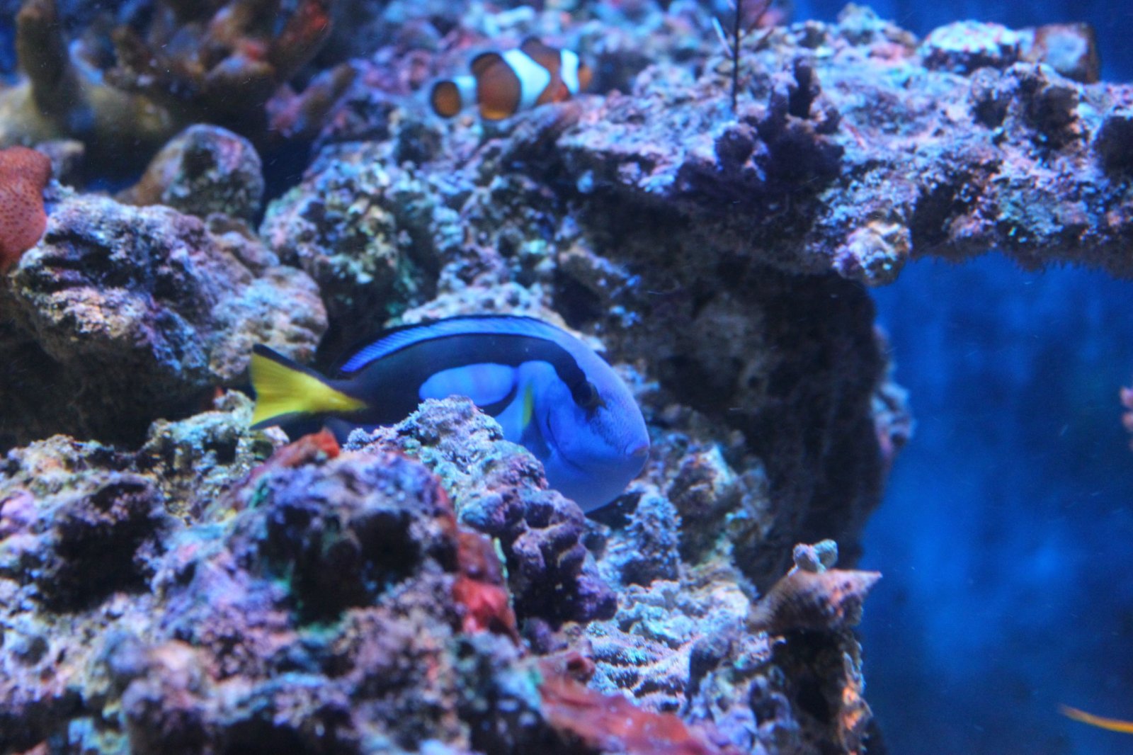 resized_IMG_4848.