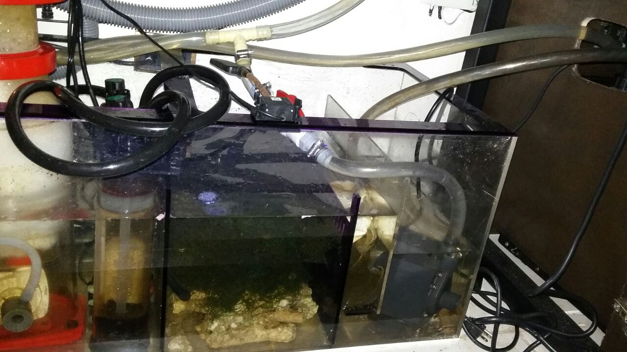 sump2.
