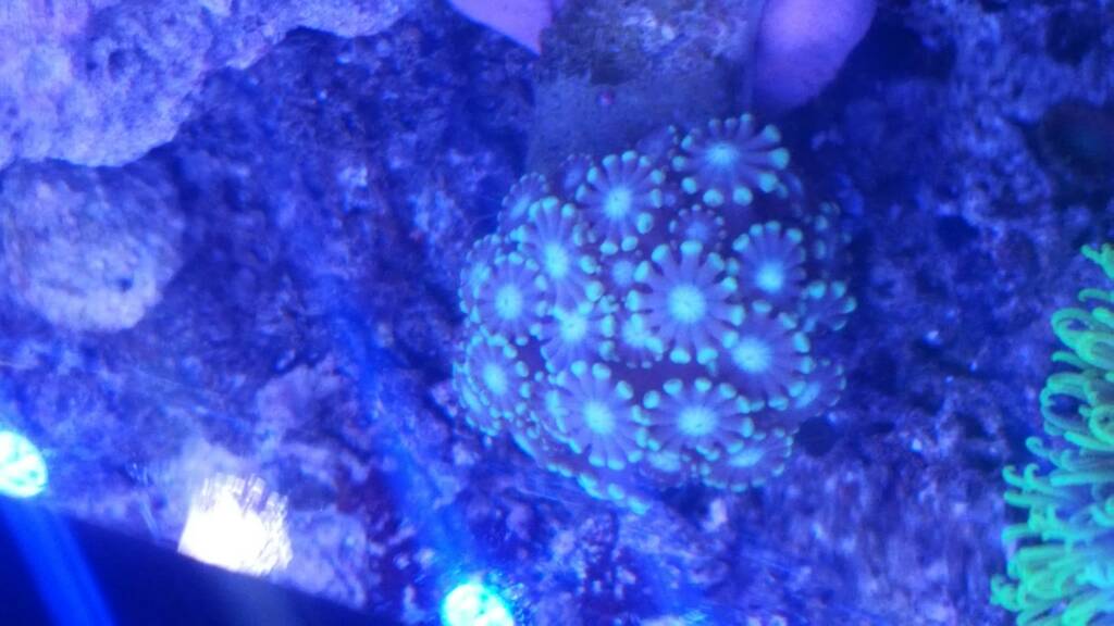 uploadfromtaptalk1463370907009.