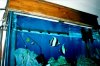 image0035.