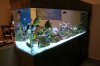dscn0135_480.