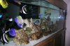 dscn0152_206.
