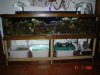dsc01207.