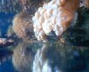 bubble_118.