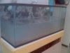agua_turbia_2_776.