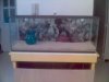 argonite_complete_red_sea_141.