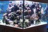 img_4210_107.