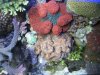 146_4659_1_1_115.