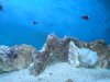 dsc00174_243.