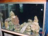 dsc05239_788.