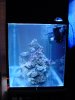 dsc05243_781.