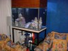 dsc05242_323.