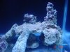 dsc05250_164.