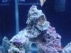 dsc05247_585.