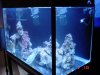 dsc05245_209.