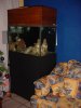 dsc05320_215.