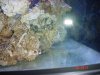 dsc05335_737.