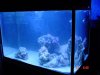 dsc05342_596.