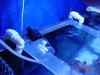 dsc05328_936.