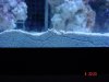 dsc05369_201.