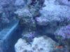 dsc05358_139.