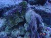 dsc05356_135.