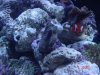 dsc05354_102.
