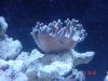 dsc05352_138.