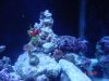 dsc05345_118.
