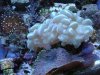 dsc00150_705.