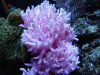 dsc00006_148.