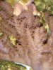 dsc00165_355.