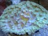 dsc00162_167.