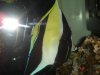 dsc00477_113.