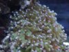 dsc00447_127.