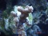 dsc00493_214.