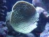 dsc00490_971.