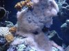 dsc00484_813.
