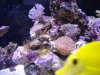 dsc00928_125.