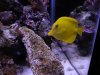 dsc00931_122.