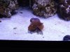 dsc00940_825.