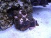 dsc00941_196.