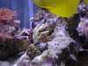 dsc00945_779.