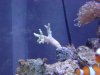 dsc00946_138.