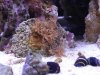 dsc00948_263.