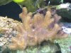 dsc01190_372.